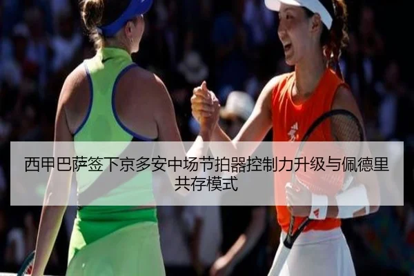 xi-jia-ba-sa-qian-xia-jing-duo-an-zhong-chang-jie-pai-qi-kong-zhi-li-sheng-ji-yu-pei-de-li-gong-cun-mo-shi-2-558.jpg